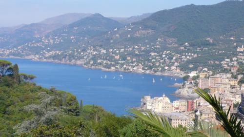 Villa Rosmarino Camogli Exterior foto